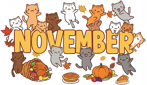 NOVEMBER NOVEMBER