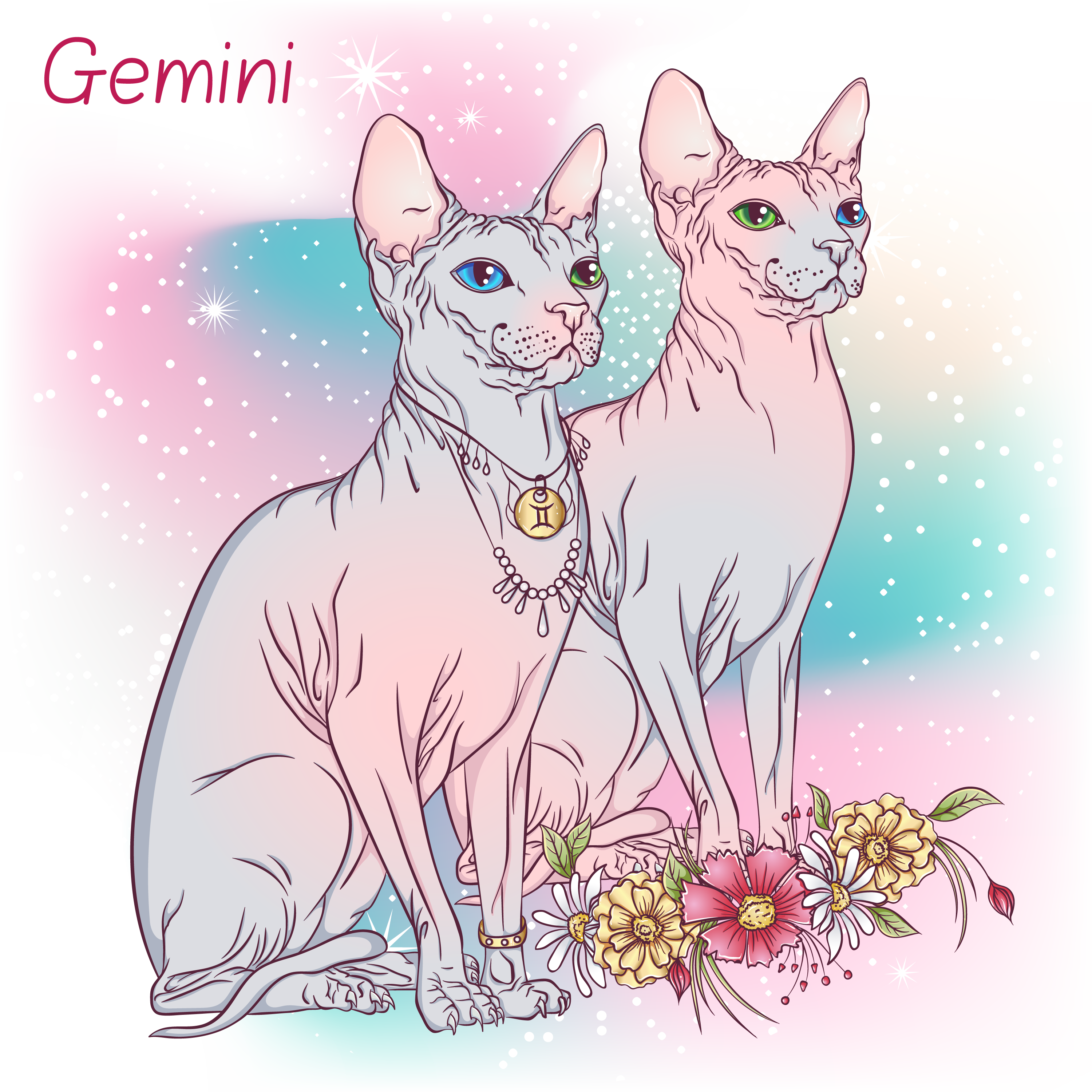 GEMINI